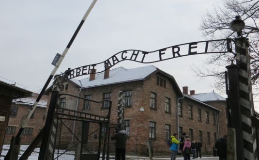 Auschwitz - Synonym für Holocaust und Massenmord. Ein Studienseminar für Jugendliche